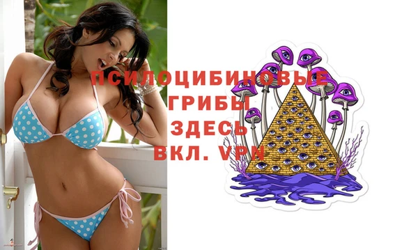 винт Абаза