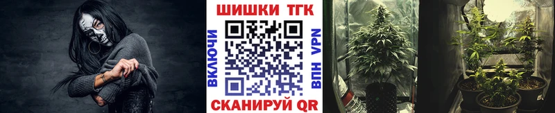 omg ССЫЛКА  Новое Девяткино  это состав  Бошки Шишки план 